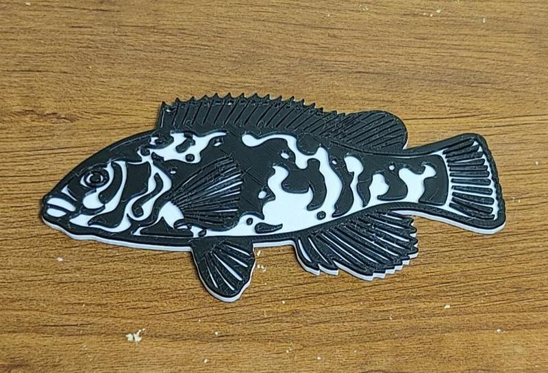 Tautog