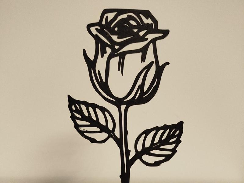 Potted Rose