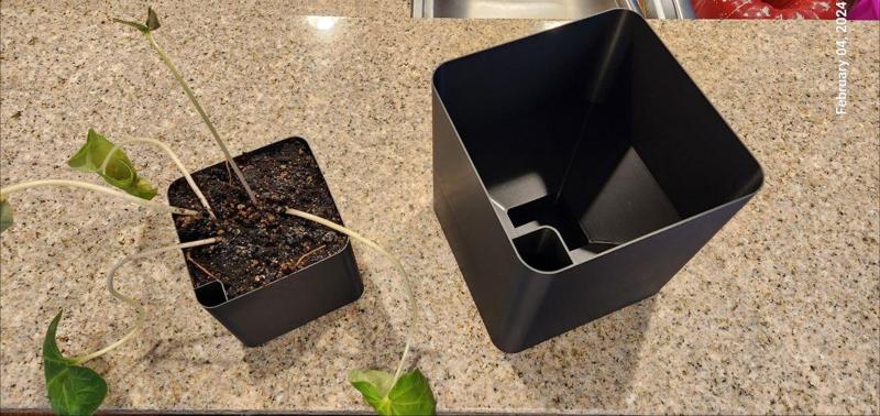 Self-watering planter