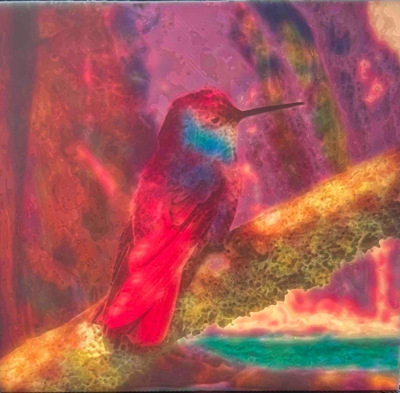 Hummingbird Color Lithophane
