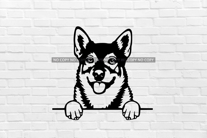 Swedish Vallhund dog wall decoration