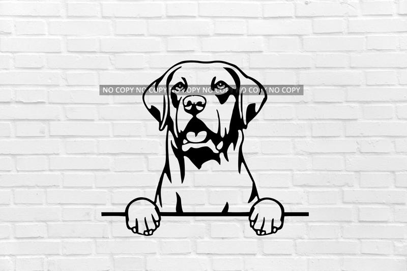 Chesapeake Bay Retriever dog wall decoration