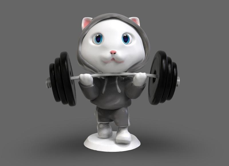 Cat at the GYM