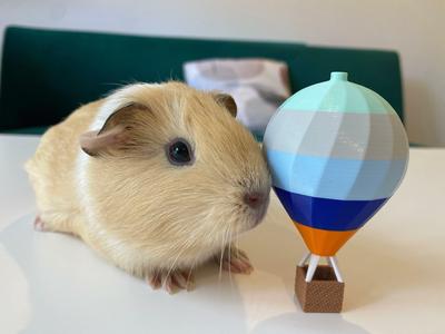 Hot Air Balloon Decorations