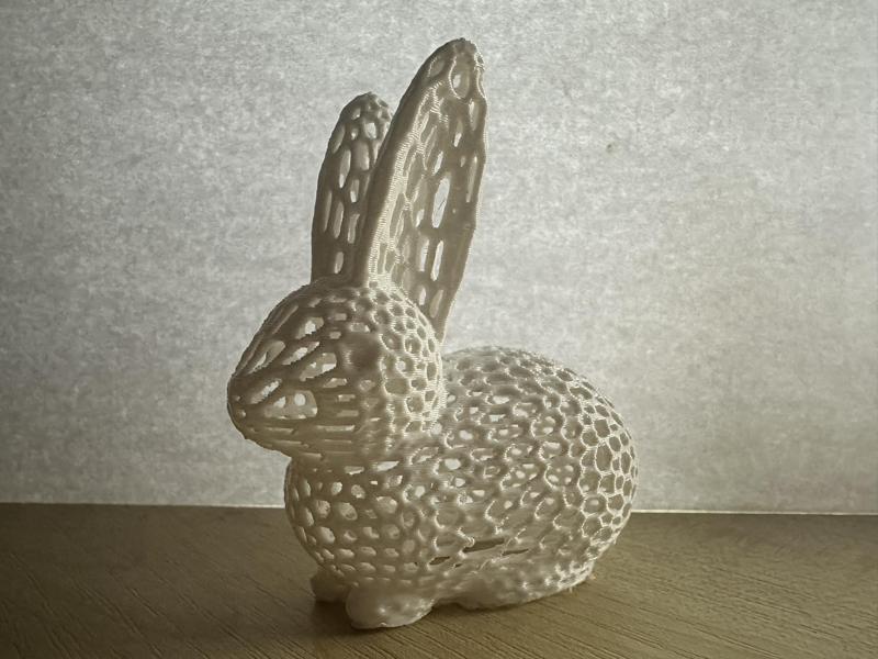 Voronoi Bunny