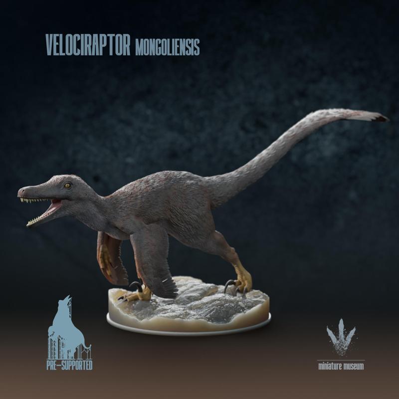 Velociraptor mongoliensis : Running