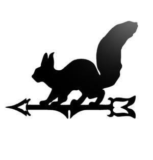 Squirrel wall decor