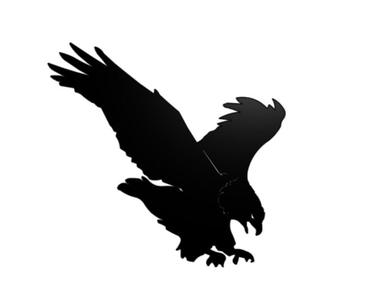 Eagle wall art