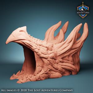 Forest Dragon Cave Entrance