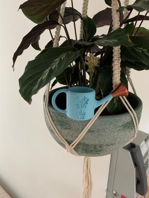 Tiny Watering Can