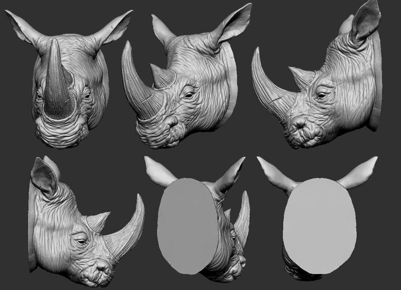 Rhino Head