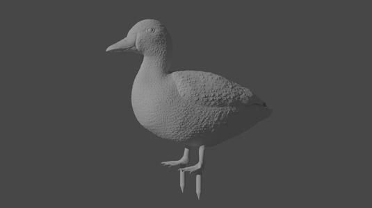 Plant Decoration - Duck