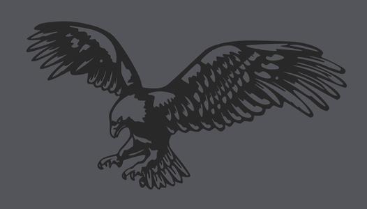 Wandart Eagle