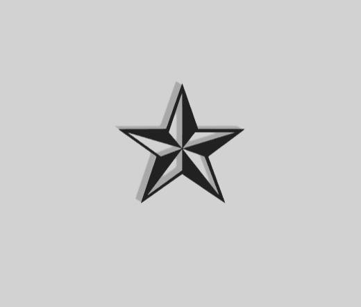 Medal of Honor Decoration - 2D Art