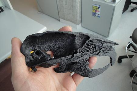 Mouse skull (from micro-CT)