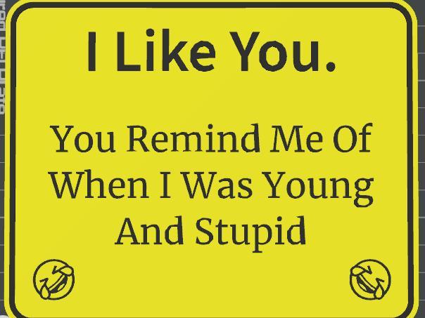 funny signs young and stupid