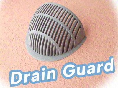 Drain Guard