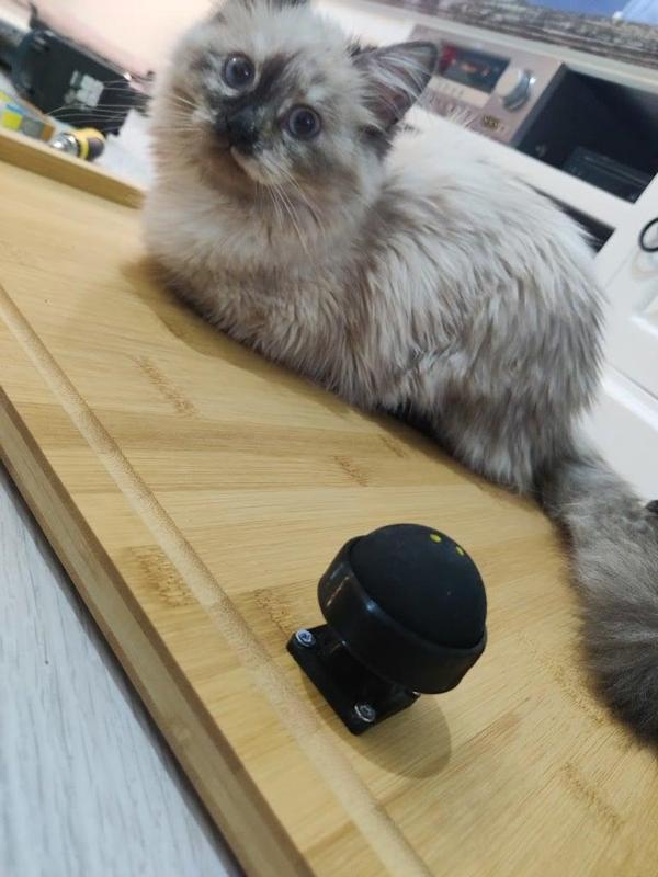 Adjustable squashball isolation feet