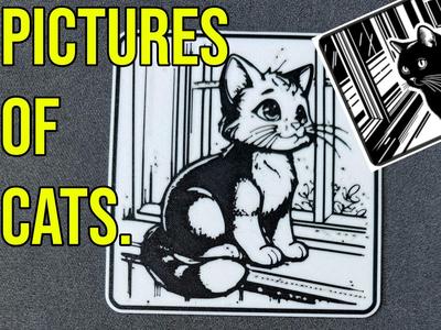 Pictures of cats