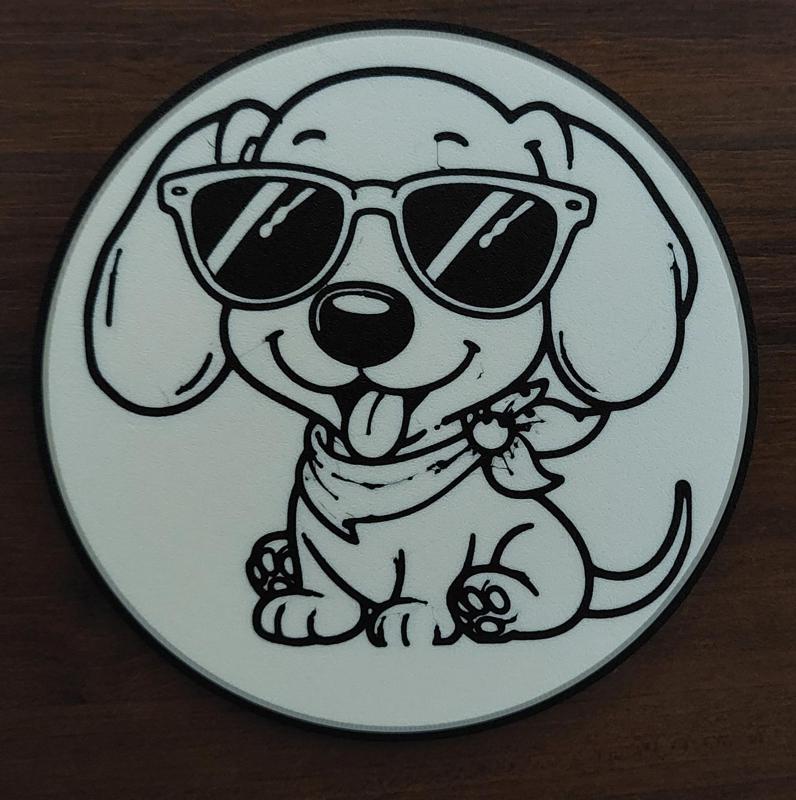 Cool dachshund