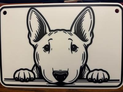 dog 15