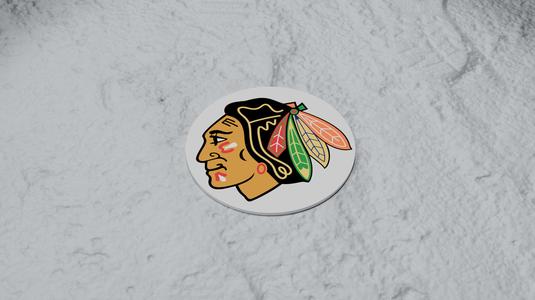 Chicago Blackhawks Coaster