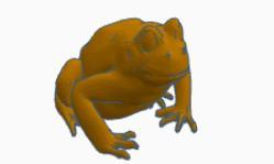 frog
