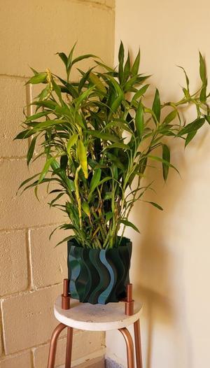 Base for  Distortion 2 Pot and Planter for your House Plants - Vase mode