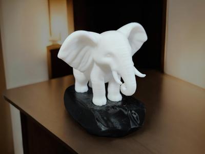 Elephant on stone