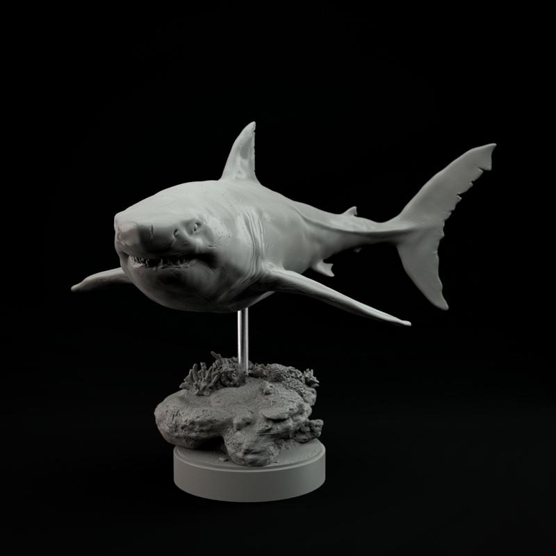 Carcharocles chubutensis 1-35 scale pre-supported prehistoric shark