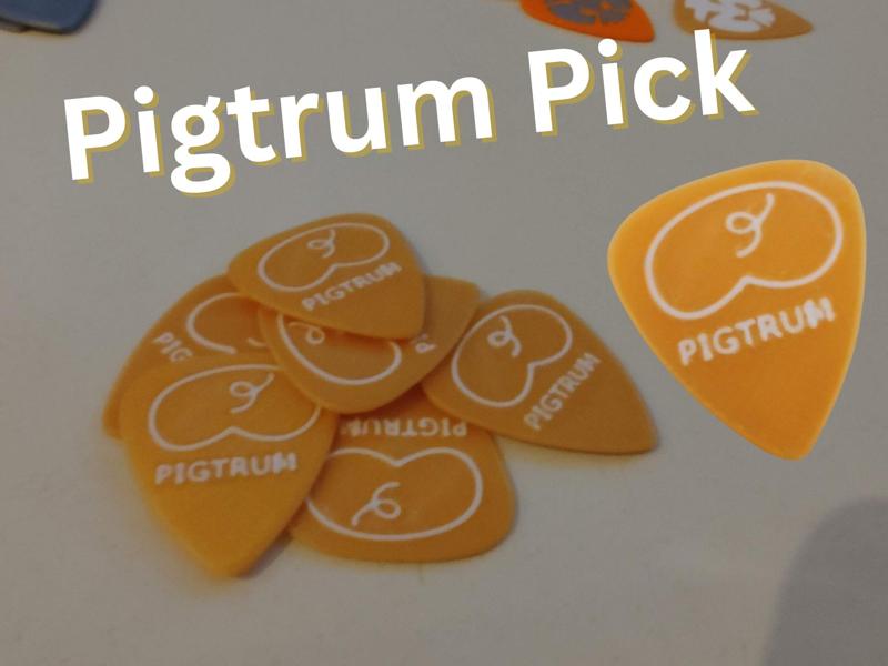 PIGTRUM Plectrum