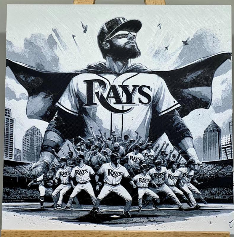 Play Ball! Tampa Bay Rays #2