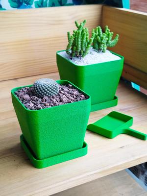 Minimalist planter with rough wall.