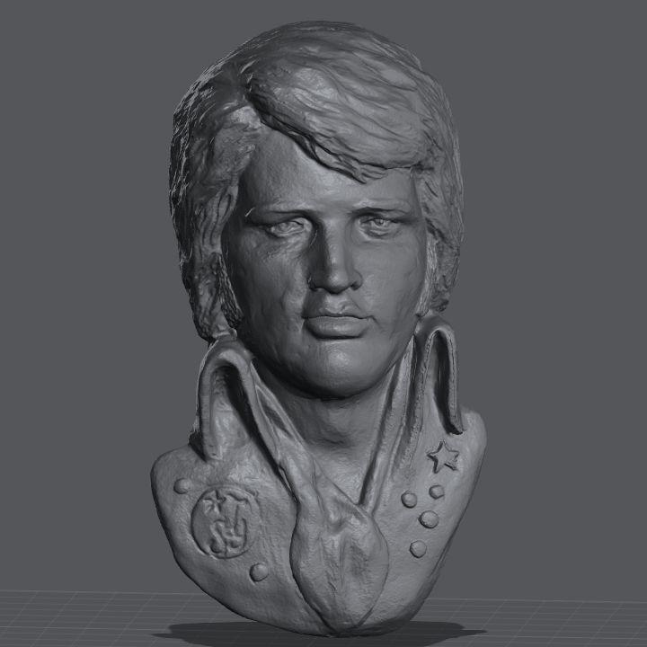 Elvis inspired sculpture. Wall mountable.