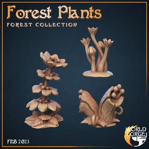 Forest Plants x3