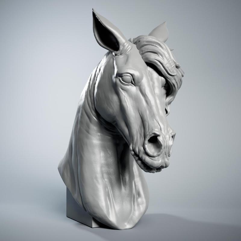 Horse Head Portrait