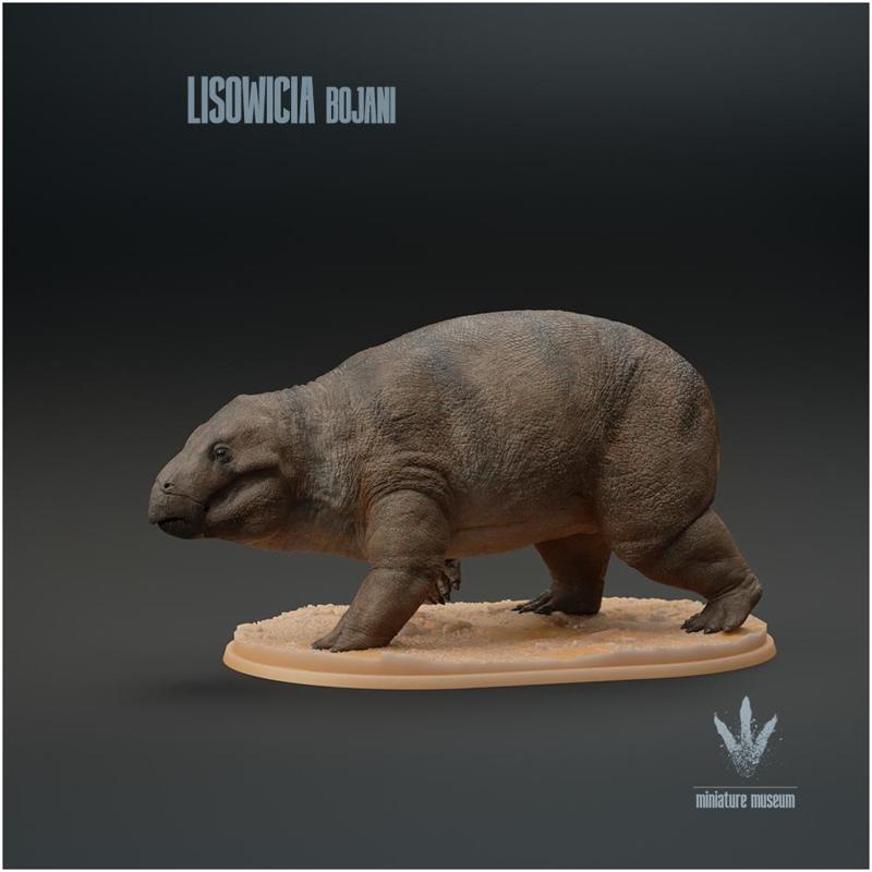 Lisowicia bojani : Walking