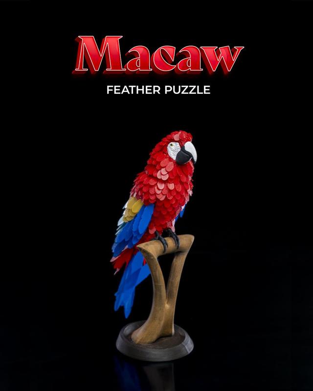 Macaw Feather Puzzle