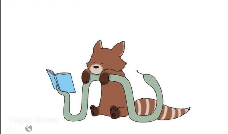 raccoon with snake friend