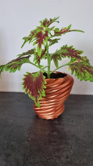 Spiral plantpot