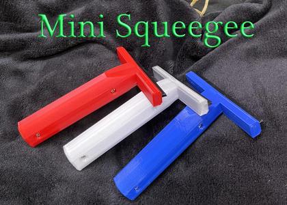 Squeegee mini with three different blades
