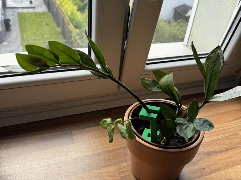 Great for holding my Plant