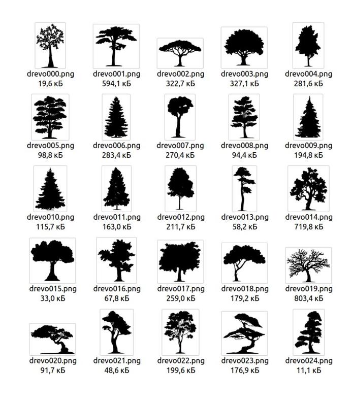 Tree (1)