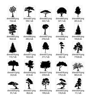 Tree (1)