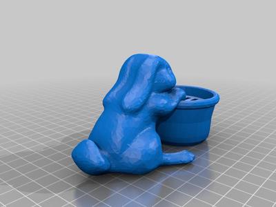 SD-Cards-Bunny