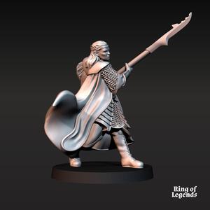 Bloody Elf King on Foot | Bloody Elves | Davale Games | Fantasy | Ring of Legends