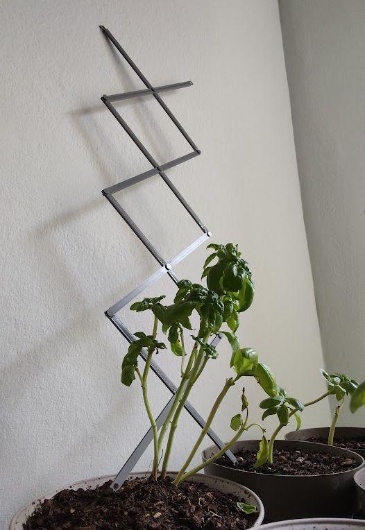 Modular plant support structure