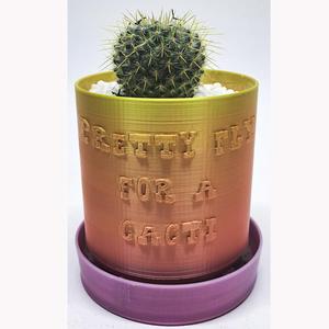 Punny Planter 07 - Pretty fly for a cacti