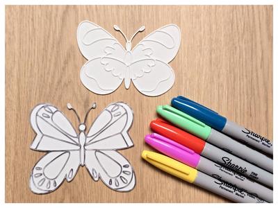 Butterfly Fun DIY Coloring 9