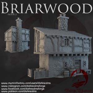 Dark Realms - Briarwood - House 2